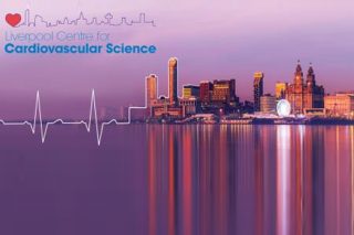cardiovascular-science-img